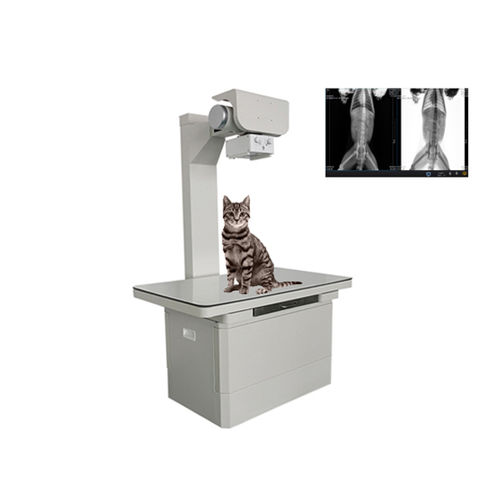 兽用放射线成像系统 / 数字 - Shandong Newheek Image Equipment