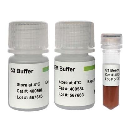 基于磁珠试剂 - 40058S - BioDynami - DNA纯化