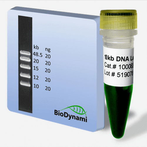 梯状DNA试剂 - 10006 series - BioDynami - 用于DNA鉴定
