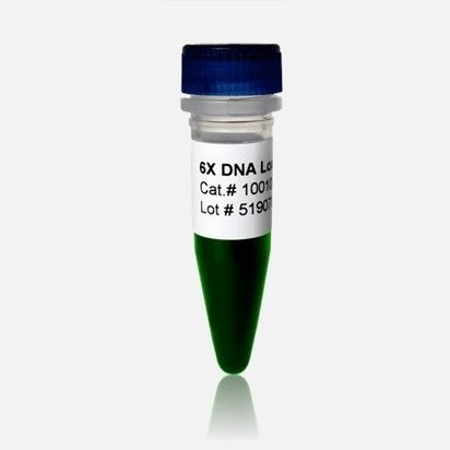 加载缓冲区试剂 - 10010 series - BioDynami - 染色 / RT-qPCR