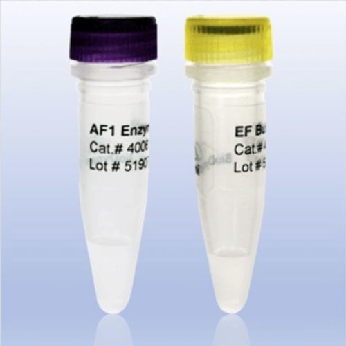 酶试剂 - 4006 series - BioDynami - 缓冲溶液 / NGS / 基因组DNA