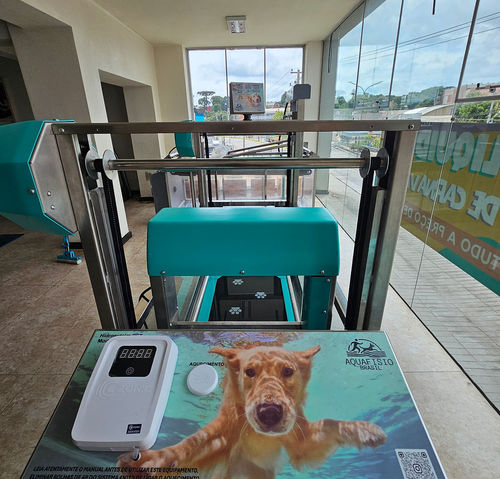 水下兽用跑步机 - Hidromaq Tecnologias Eireli - 犬用