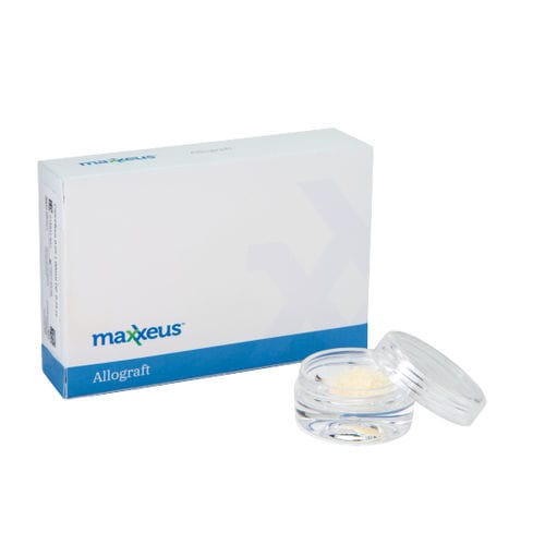 同种异体移植人工骨材料 - DM005 - Maxxeus - 骨外科 / 颗粒