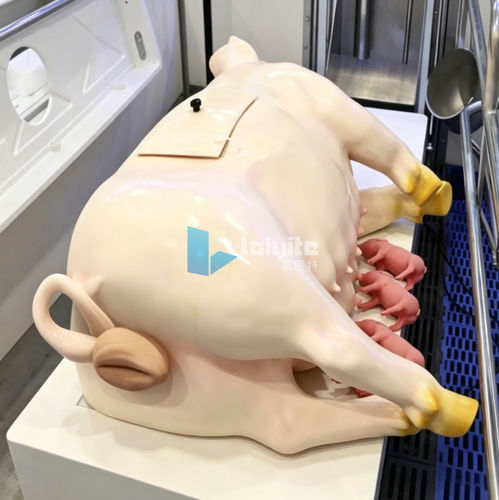 维护模拟器 - Nanjing Laiyite Electronic Technology Co., Ltd - 兽用