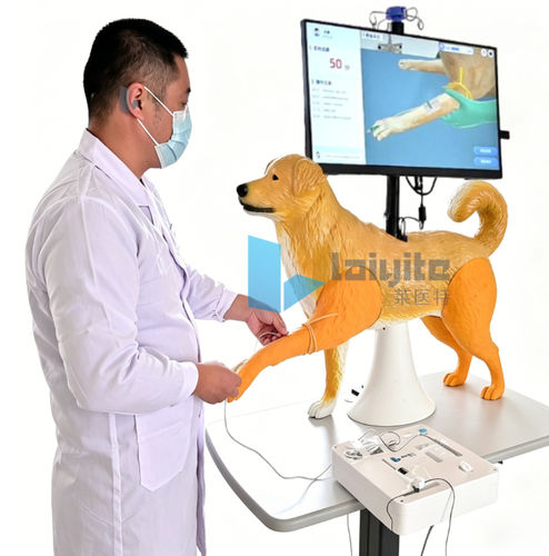 培训模拟器 - Nanjing Laiyite Electronic Technology Co., Ltd - 兽用 / 一般护理 / 犬类