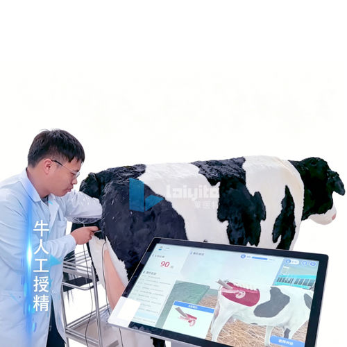 心肺复苏CPR模拟器 - Nanjing Laiyite Electronic Technology Co., Ltd - 培训 / 用于维护 / 手术