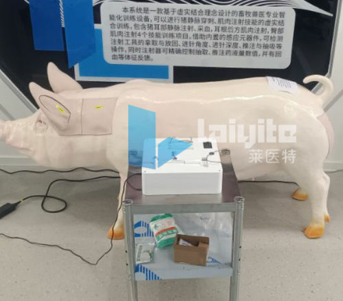 培训模拟器 - Nanjing Laiyite Electronic Technology Co., Ltd - 手术 / 兽用