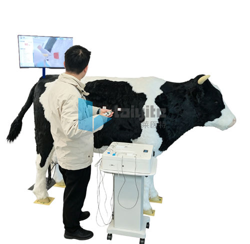 呼吸道处理模拟器 - Nanjing Laiyite Electronic Technology Co., Ltd - 监护 / 培训 / 兽用
