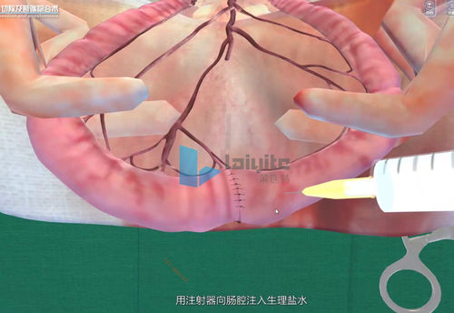 模拟软件 - Nanjing Laiyite Electronic Technology Co., Ltd - 培训 / 评估 / 兽用