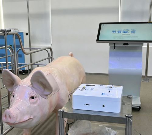 兽用模拟器 - Nanjing Laiyite Electronic Technology Co., Ltd - 用于肌内注射 / 用于静脉注射 / 采血用