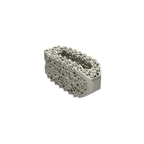 腰椎间融合器 - JMTmed - 后入路 / 未指定 / 钛