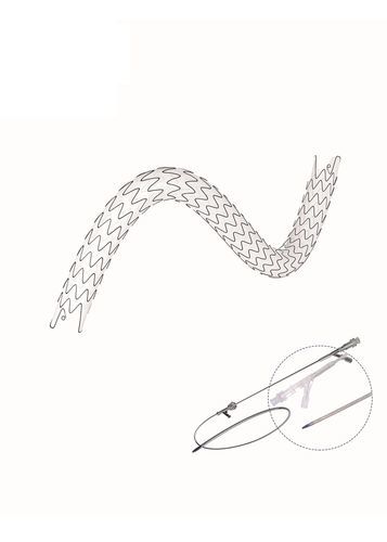 输尿管支架 - EUS series - Hunan Endovascular Device Co., Ltd. - 聚氨酯 / 镍钛合金 / 保护层