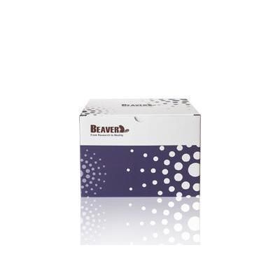 溶液试剂 - KD-HMM-0015 - Alta DiagnoTech - 用于研究 / PCR / 血液样本