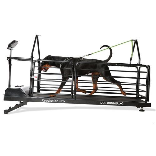 犬用兽用跑步机 - Revolution Pro - DOG RUNNER - 变速式 / 倾斜