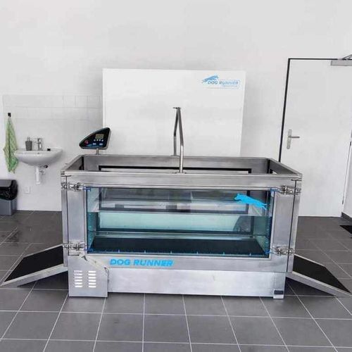 水下兽用跑步机 - Aqua Runner - DOG RUNNER - 水疗 / 犬用 / 具有防滑表面