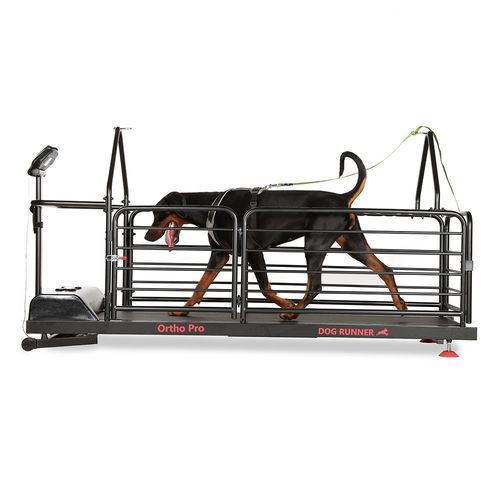 犬用兽用跑步机 - Ortho Pro - DOG RUNNER - 具有防滑表面 / 变速式 / 倾斜