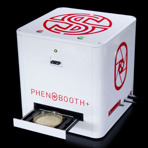 自动菌群计数器 - PhenoBooth+ - singer instruments - 自动化 / 台式 / 基于图像