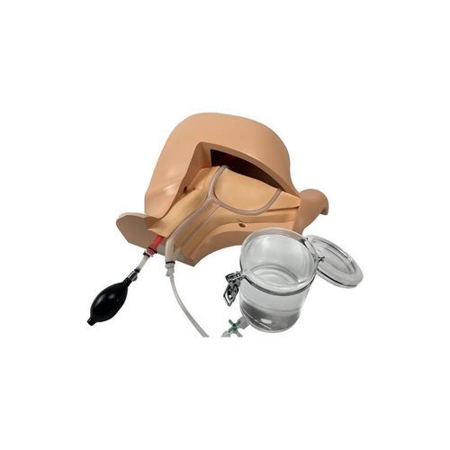解剖学模拟器 - CVC-B01 - SurgMate - 一般护理 / 触诊 / 穿刺