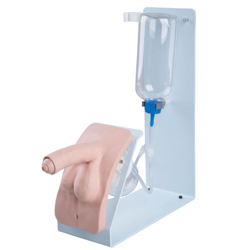 插管模拟器 - P93B-M - 3B Scientific  /德国3B Scientific - 男性 / 阴茎