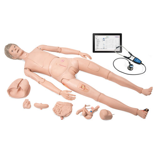 护士护理医学教学模型 - P10CCD - 3B Scientific  /德国3B Scientific - 用于听诊法 / 可拆卸 / 带有发声器