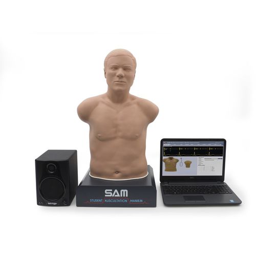 听诊训练模型 - SAM 3G&reg; - 3B Scientific  /德国3B Scientific - 用于急救护理 / 成人 / 躯干