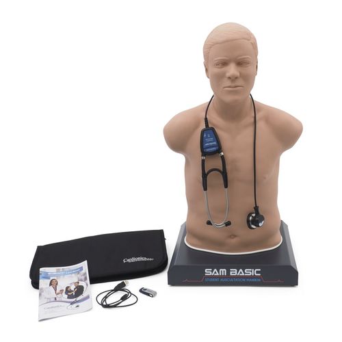听诊训练模型 - SAM Basic® - 3B Scientific  /德国3B Scientific - 用于急救护理 / 成人 / 躯干