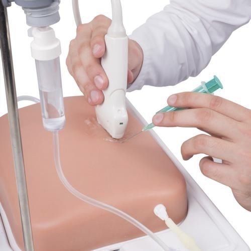 超声波成像模拟器 - P120 - 3B Scientific  /德国3B Scientific - 教学 / 注射 / 触诊
