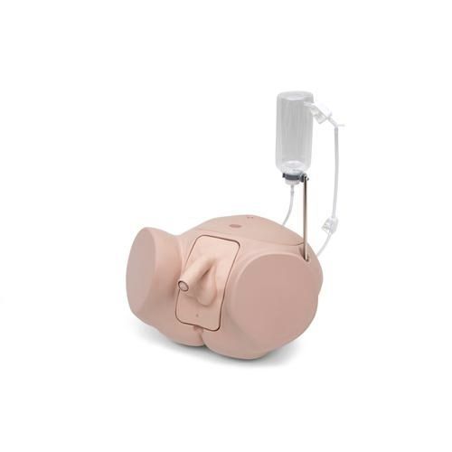 插管模拟器 - P93SPC-M - 3B Scientific  /德国3B Scientific - 男性 / 阴茎