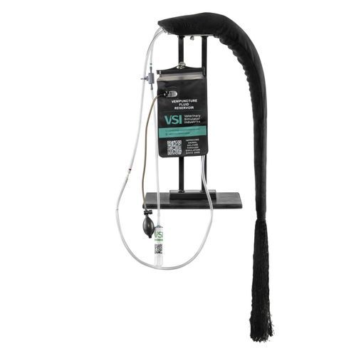 静脉穿刺模拟器 - 10255 series - 3B Scientific  /德国3B Scientific - 用于难产 / 培训 / 兽用
