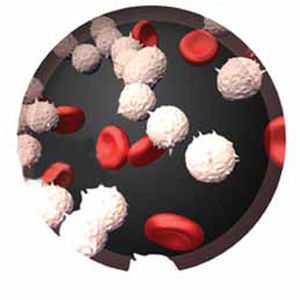 BCR-ABL基因突变快速诊断套装 - RQ-105  series - AB Analitica  - 肿瘤科 / 荧光 / RT-PCR