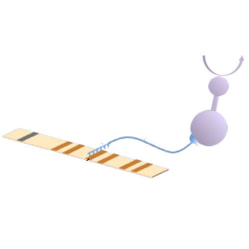 血栓形成倾向快速诊断套装 - 04-71A-20 series - AB Analitica  - 凝血因子V基因突变 / PCR