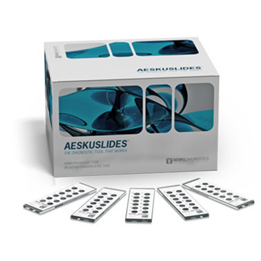 自身免疫性疾病快速诊断套装 - AESKUSLIDES® LKS - AESKU.GROUP - 啮齿动物 / 抗体 / 血清