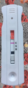 COVID-19新冠病毒快速诊断套装 - Instant-view® - Alfa Scientific Designs - IgG免疫球蛋白G / 免疫球蛋白M / SARS-COV-2