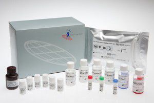 脓毒病快速诊断套装 - FMHBP100IUO - Axis-Shield PLC  - 传染病 / 细胞凋亡 / 肝素结合蛋白