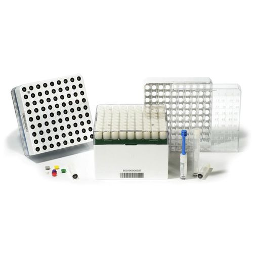 存储样本瓶 - 2D - CLEARLine®  - Biosigma  SPA - 用于生物银行 / 聚碳酸酯 / 加压加热