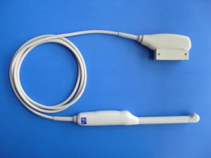内窥镜超声探头 - GE8CRS  - Broadsound Corporation  - 经阴道
