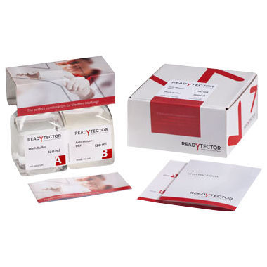 溶液试剂套装 - ReadyTector®  - CANDOR Bioscience   - 洗涤缓冲液 / 蛋白质印迹