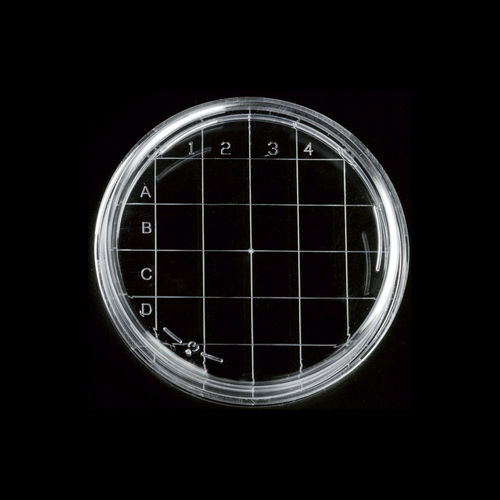 聚苯乙烯有盖培养皿 - 2002 series - Deltalab - 带计数网格