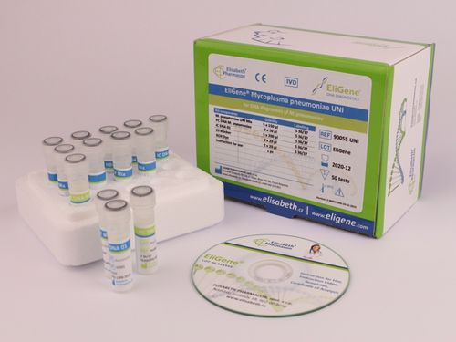 呼吸道疾病快速诊断套装 - 90055-UNI - Elisabeth Pharmacon spol  - 支原体 / 痰 / 喉咙