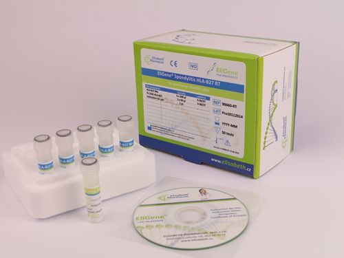 HLA-B27快速诊断套装 - EG-90060-RT - Elisabeth Pharmacon spol  - 脊椎关节炎 / 血液 / 用于实时PCR