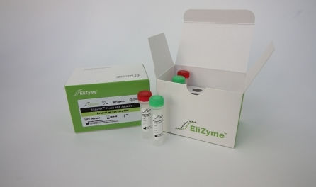 酶试剂套装 - EliZyme™ Probe MIX - Elisabeth Pharmacon spol  - 染色 / 用于实时PCR / 用于扩增反应