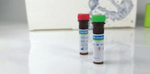 溶液试剂 - EliDNA PS Green - Elisabeth Pharmacon spol  - 染色 / 电泳 / 用于DNA