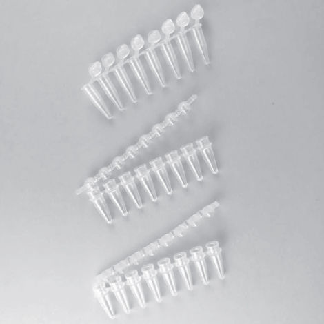实验室试管 - AP0802FFC series - Elisabeth Pharmacon spol  - 用于PCR / 锥形 / 聚丙烯