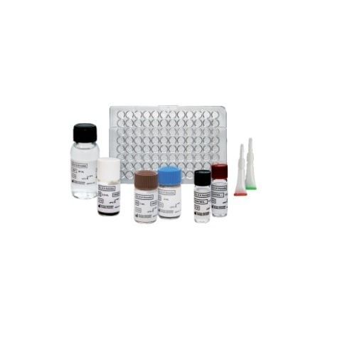 双盘吸虫病快速诊断套装 - ELI.H.A Distoma - ELITech Group  - 血清学 / 肝片吸虫 / 血清