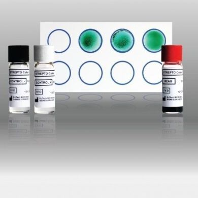 传染病快速诊断套装 - Strepto Color - ELITech Group  - ASO / 血清 / 实验室