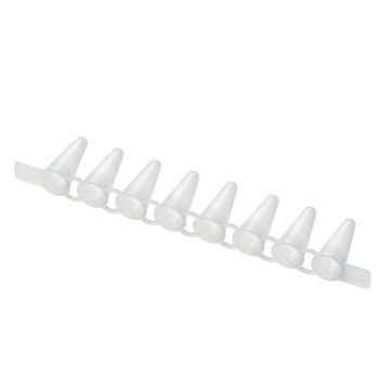 实验室试管 - 00301249 series - Eppendorf SE/艾本德 - 用于PCR / 锥形 / 聚乙烯