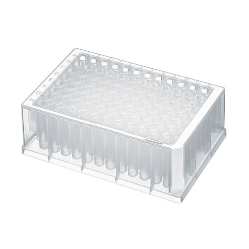 PCR微孔板 - 00305 series - Eppendorf SE/艾本德 - 实验室 / 96孔 / 384孔