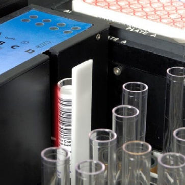 苍白密螺旋体快速诊断套装 - 961-150 - ERBA Diagnostics Mannheim - 梅毒 / 免疫球蛋白M / IgG免疫球蛋白G
