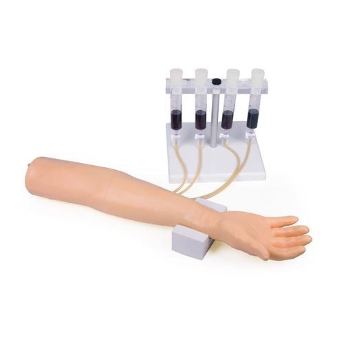 静脉注射模拟器 - 7010 - Erler-Zimmer - 一般护理 / 手臂