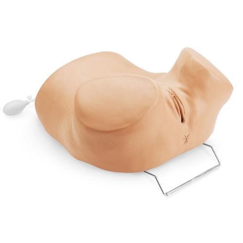 骨盆检查模拟器 - R10186 - Erler-Zimmer - 宫内节育器放置 / 女性 / 成人
